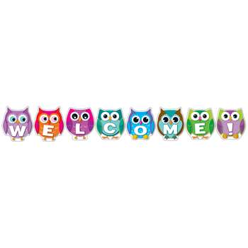 Colorful Owl Welcome Bulletin Board Set