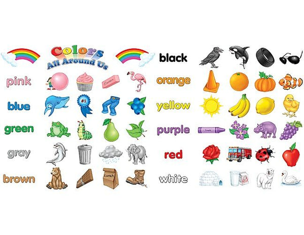 Colors All Around Us Bulletin Board Set