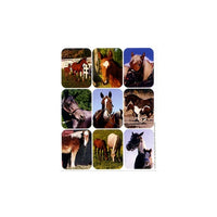 Horses Giant Stickers (36/Package)