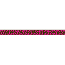 Pink Stars on Brown Straight Border (35'/Package)