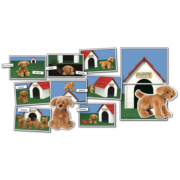 Where is Puppy? Photographic Learning Cards