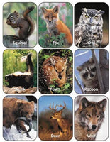 Wildlife Animals Stickers (36/Package)